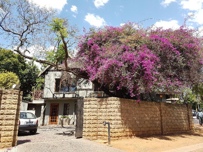 Hotel 440@Brooklyn Pretoria-Noord Exteriér fotografie